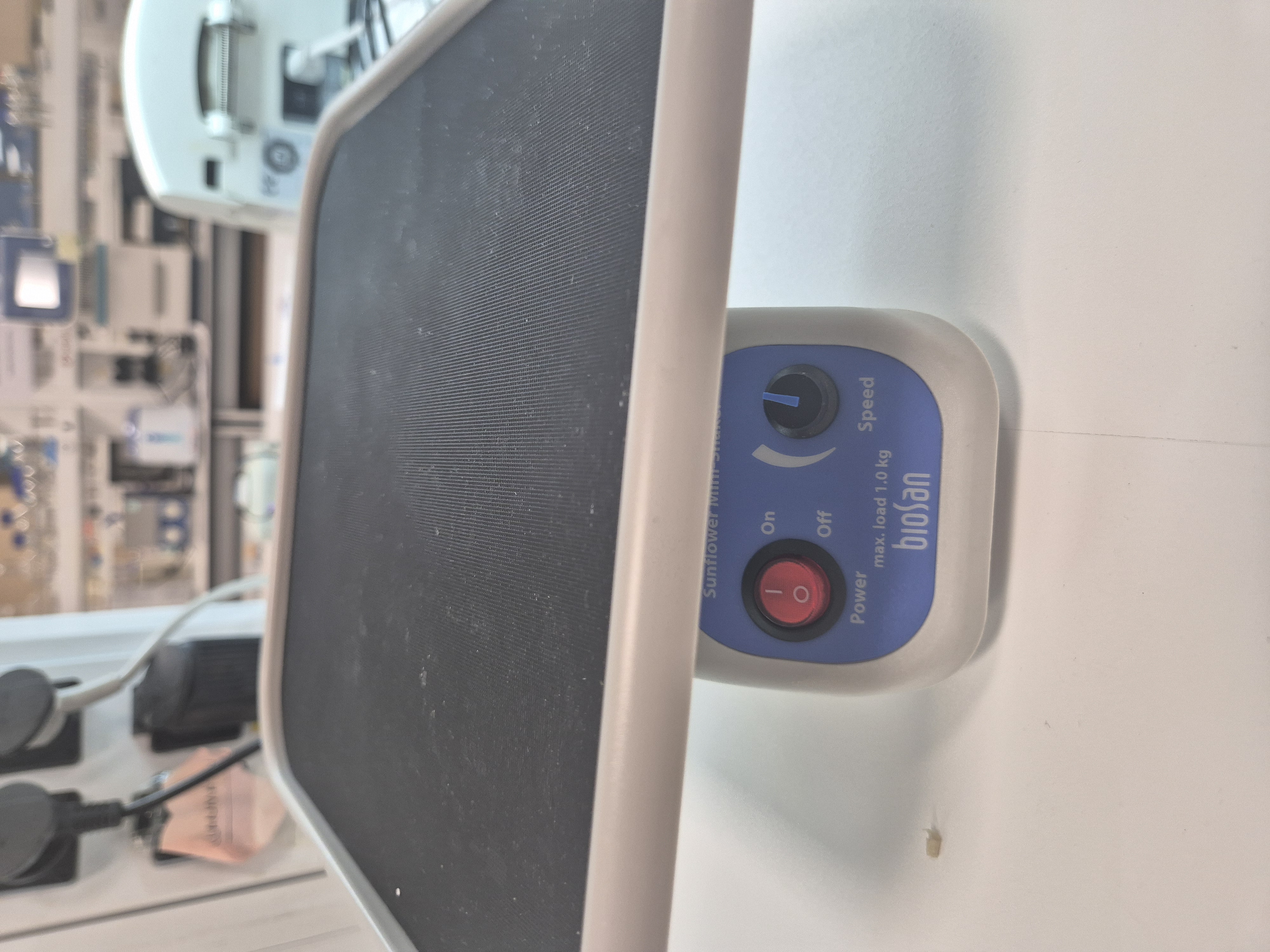 Sunflower Mini-Shaker-Fotoğraf